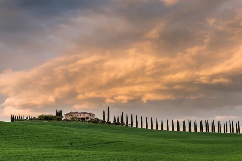 Country estate Poggio Covili with road lined with cypress trees