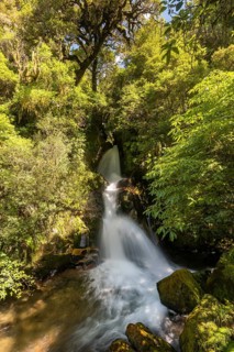 Waiatiu Falls