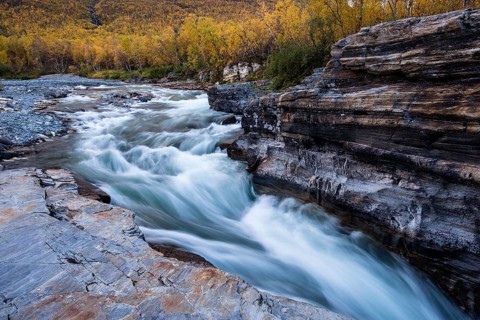 Autumnal Abisko canyon
