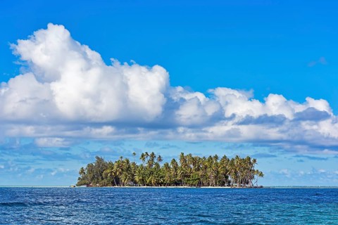 Small island with palm trees