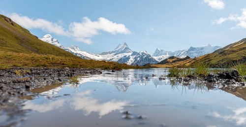 Reflection in Bachalpsee