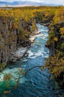 Autumnal Abisko Canyon