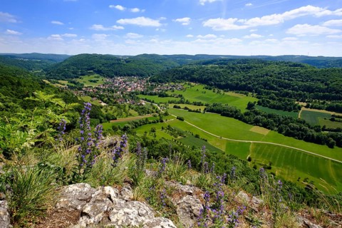 Forrenbach near Happurg