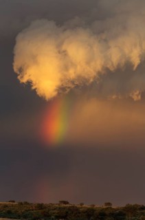 Evening thunderstorm with Cumulonimbus cloud and rainbow above a sand dune