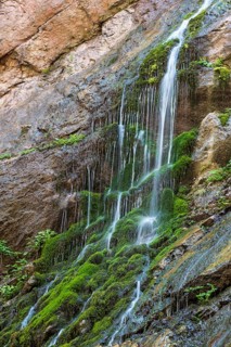 Waterfall on mossy slope in gorge