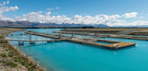 Turquoise water