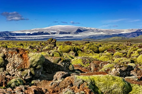 Moss-covered lava field Laufskalavaroa