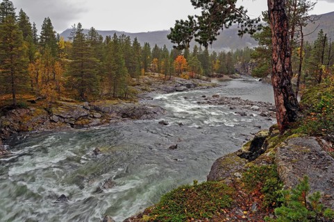 Autumn atmosphere