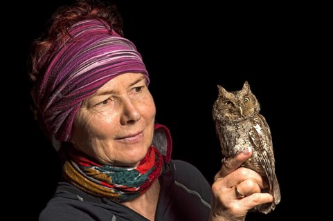 Ornithologist with Peru Screech Owl
