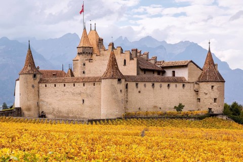 Aigle Castle surrounded by vineyards
