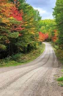Road through Algonquin Provincial Park in Autumn
