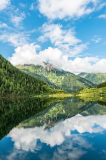 Forest and mountains