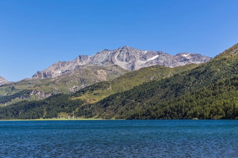 Lake Sils with Piz Corvatsch