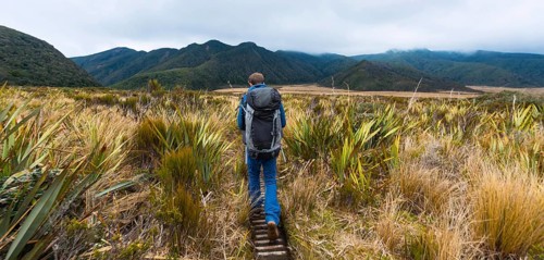 Hiker on hiking trail through swamp landscape