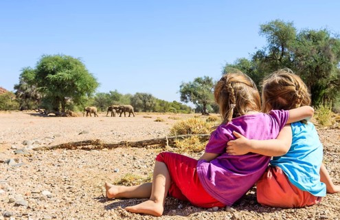 Two girls watching elephants