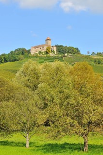 Castle Lichtenberg