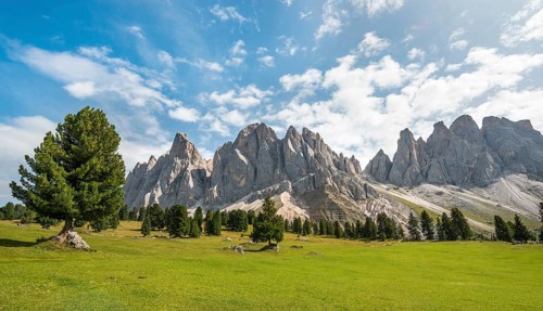 Mountain meadow near Gschnagenhardt Alm