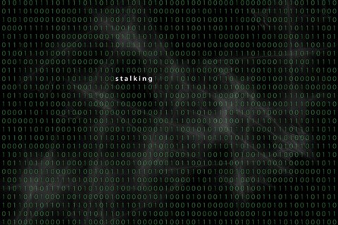 Computer matrix with word stalking