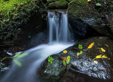 Small waterfall