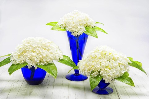 Flower arrangement in vases
