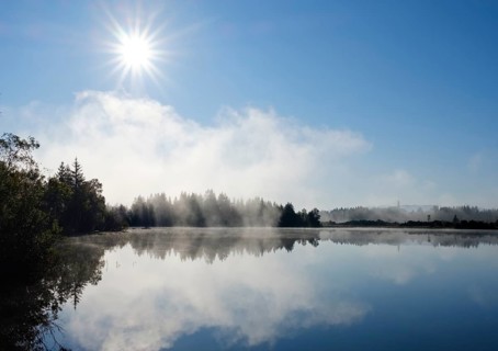 Morgennebel