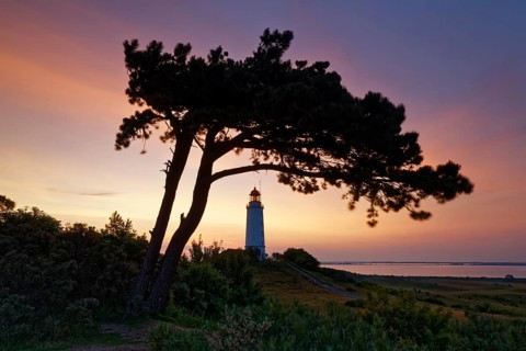 Lighthouse Dornbush on the Schluckwieksberg