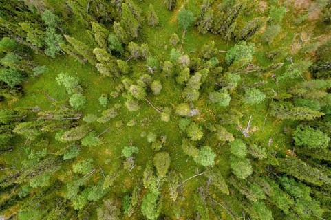 Drone shot