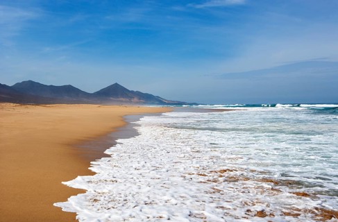 Surf