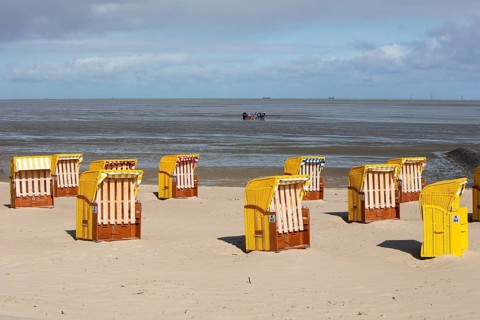 Beach chairs on sandy beach