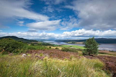 View from viewpoint Struie Hill to the estuary Dornoch Firth