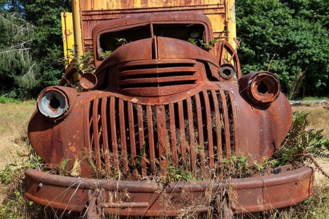 Plants growing out of vintage truck