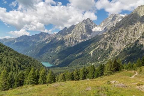Alpine panorama with Lake Antholz and Rieserferner Group