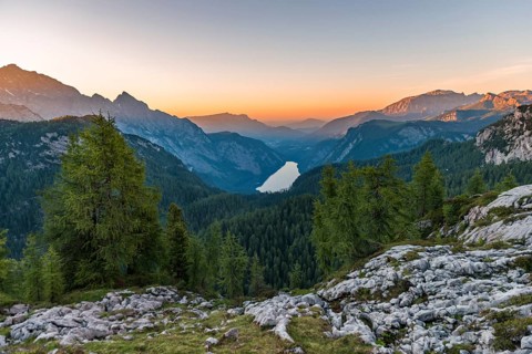 Panorama