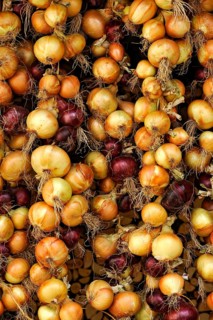 Red and white onions