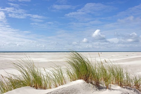 Dunes with sandy beach