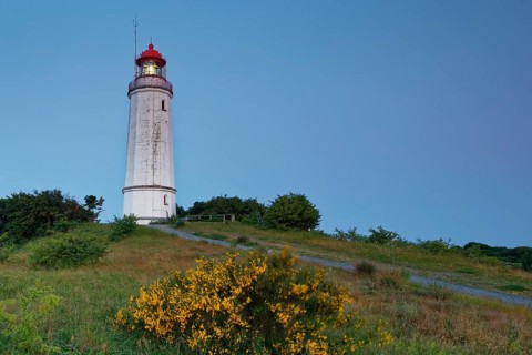 Lighthouse Dornbush on the Schluckwieksberg