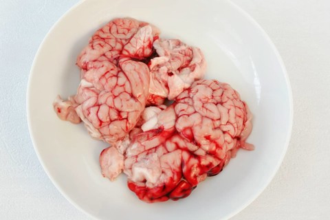 Calf's brain