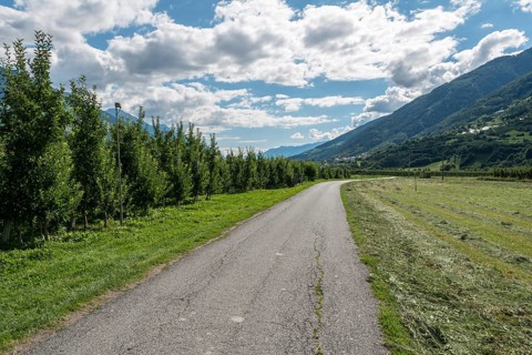 Via Claudia Augusta cycle path through apple groves with apple trees
