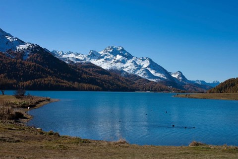 Silvaplana lake in the Upper Engadine