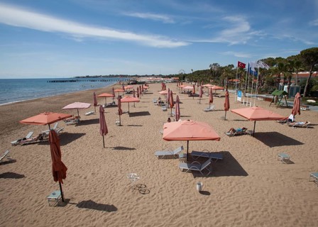 Empty beach with sunshades