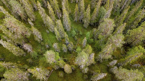 Drone shot