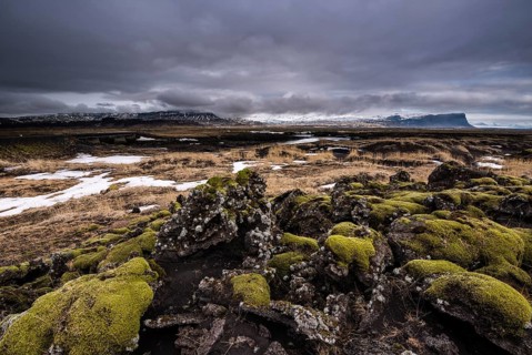 Moss-covered lava rock