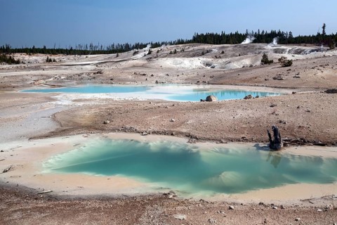 Hot springs and mineral deposits in the Porcelain Basin