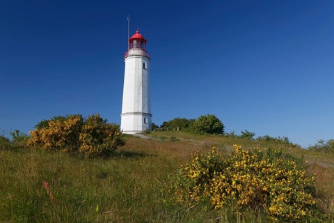 Lighthouse Dornbush on the Schluckwieksberg
