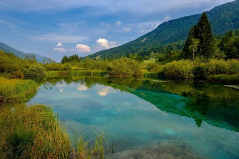 Sava Dolinka spring