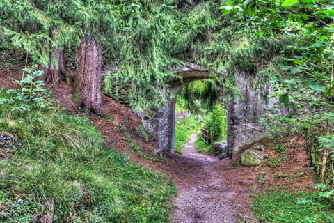 Overgrown castle gate