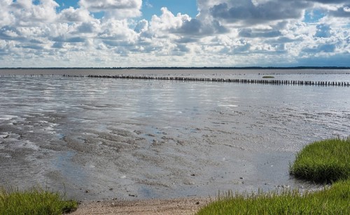 Low tide