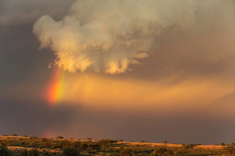 Evening thunderstorm with Cumulonimbus cloud and rainbow above a sand dune