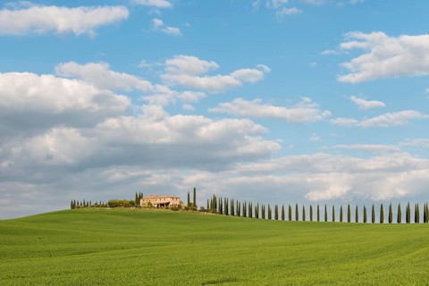 Country estate Poggio Covili with road lined with cypress trees