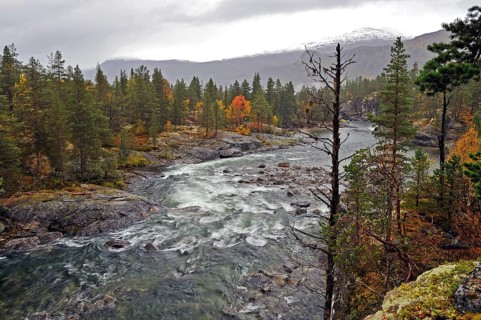 Autumn atmosphere